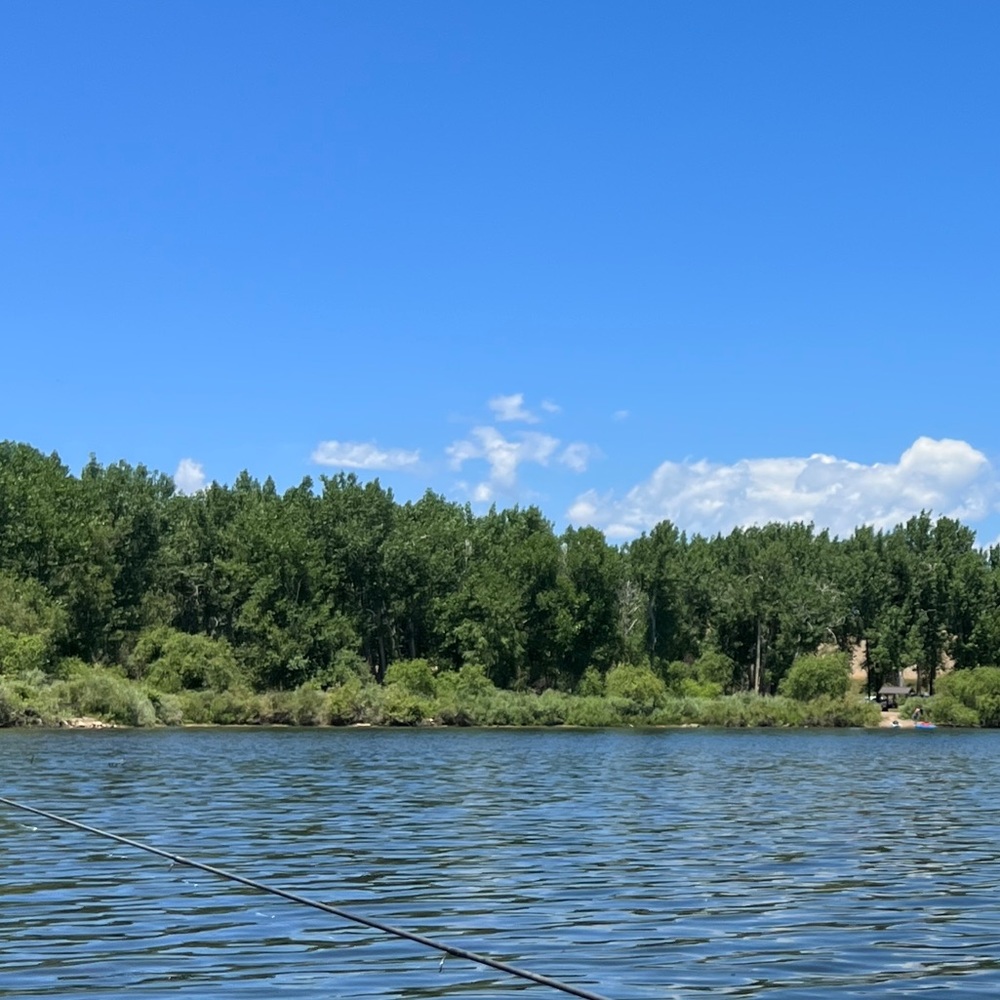 Meet your Posher, Susa